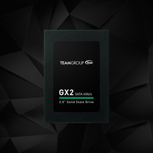 256GB / Team GX2