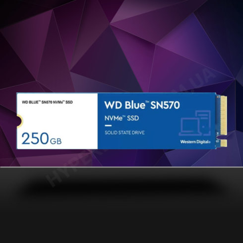 256GB / M.2 WD Blue SN570