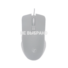 Мышка не выбрана