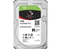 4TB / Seagate 7200RPM