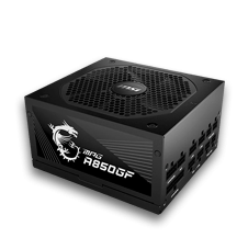 1000W / MSI MPG A1000GS PCIE5 1000W