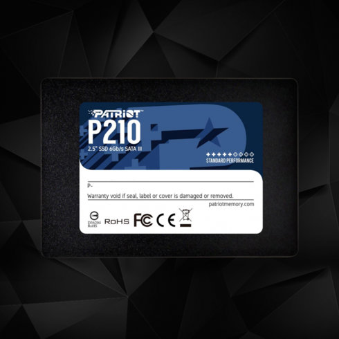 SSD 256GB / Patriot P210