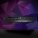 NVIDIA GeForce RTX 5090 WindForce OC Gigabyte, 32GB