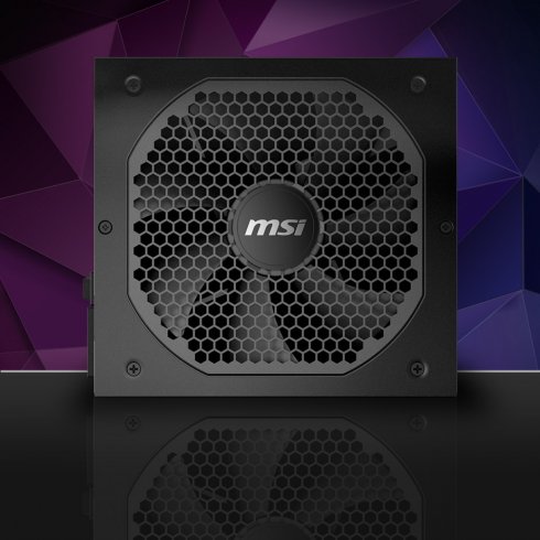 1000W / MSI MPG A1000GS PCIE5 1000W