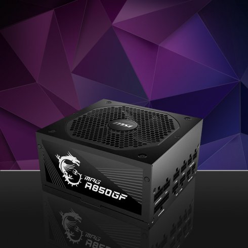 1000W / MSI MPG A1000GS PCIE5 1000W
